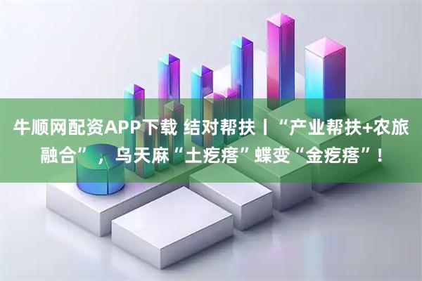 牛顺网配资APP下载 结对帮扶丨“产业帮扶+农旅融合” ，乌天麻“土疙瘩”蝶变“金疙瘩”！