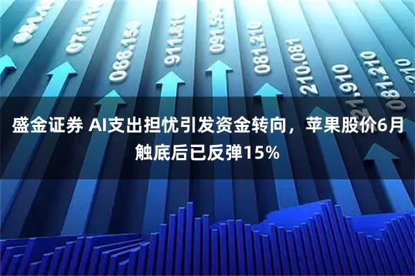 盛金证券 AI支出担忧引发资金转向，苹果股价6月触底后已反弹15%